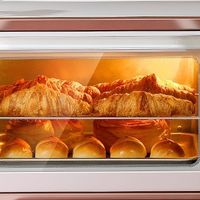 高性价比家用烤箱选购指南