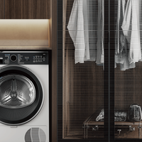万元预算选顶配洗烘套装还是热泵洗烘一体机?300+用户真实体验告诉你答案