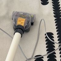 志高吸拖一体机让我家猫毛“消失术”成真！