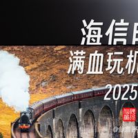 「仙鱼」影音 篇零:全干货!2025年海信电视满血玩机与购买指南