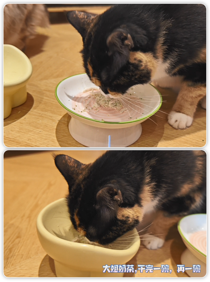 猫咪零食罐/妙鲜包