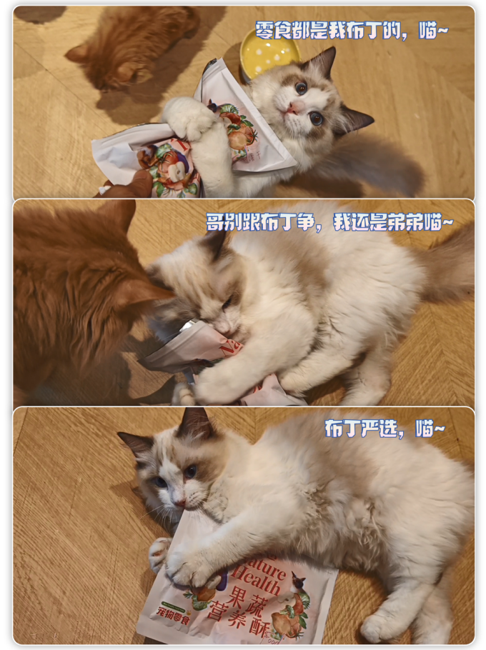 猫咪零食罐/妙鲜包