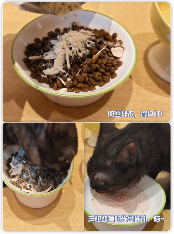 猫咪零食罐/妙鲜包
