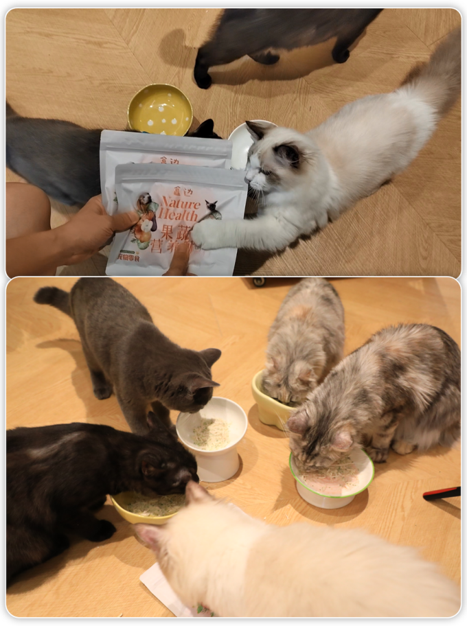 猫咪零食罐/妙鲜包