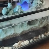 创意陶瓷流水玻璃鱼缸