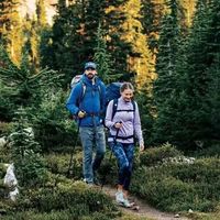 土拨鼠神衣到底神在哪?238+用户真实观点全景呈现