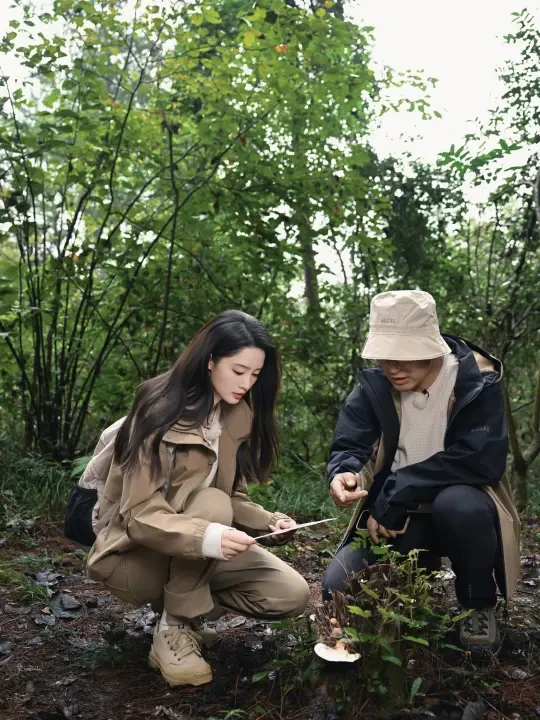 ⛰️在黄山九龙峰，和李沁一起踏上保护地之旅