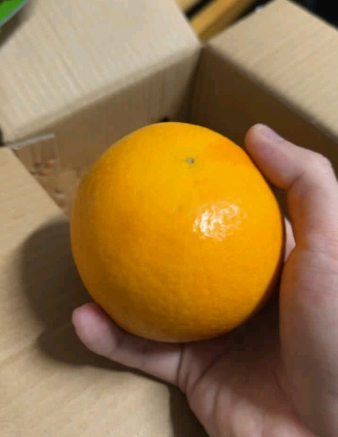 京鲜生橙子
