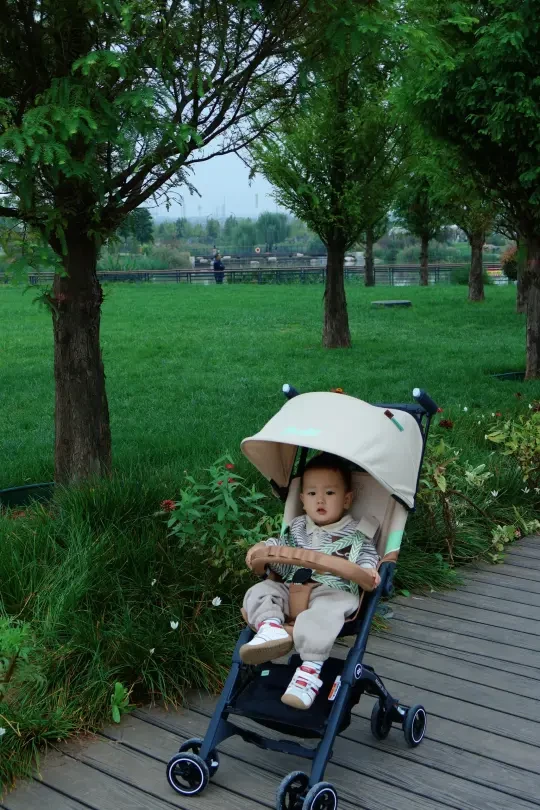 寻趣园游会 | 带娃闯进现实版爱丽丝仙镜