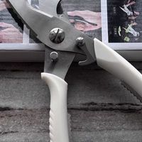 摩登主妇厨房剪刀：高硬度不锈钢