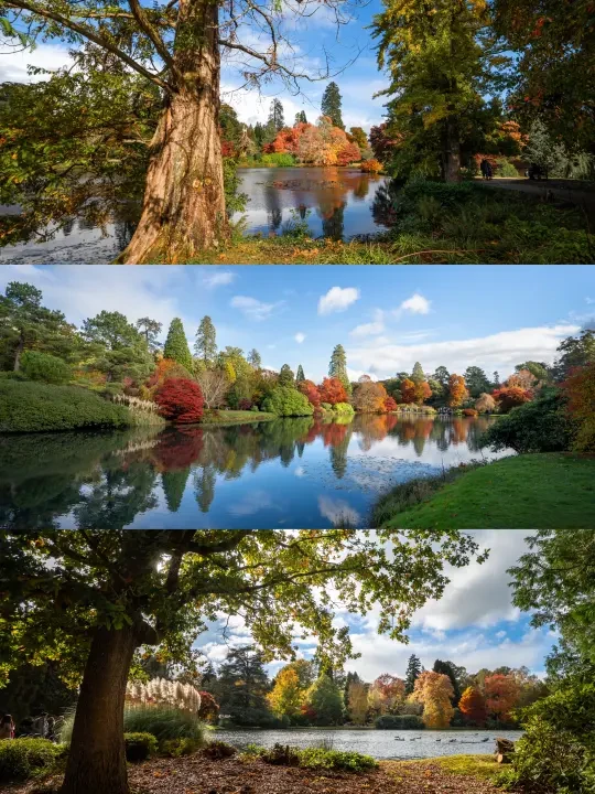 🇬🇧Sheffield Park|英国秋天进度100%🍂