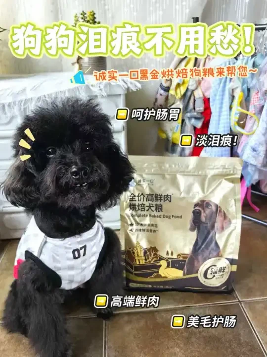狗狗泪痕不用愁~诚实一口来帮您！