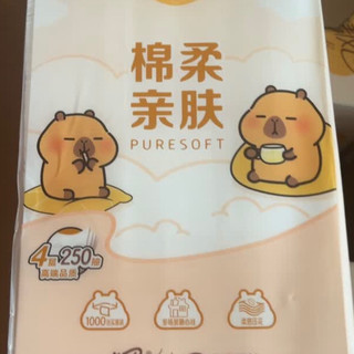 清风卡皮巴拉挂抽：实用与颜值兼具