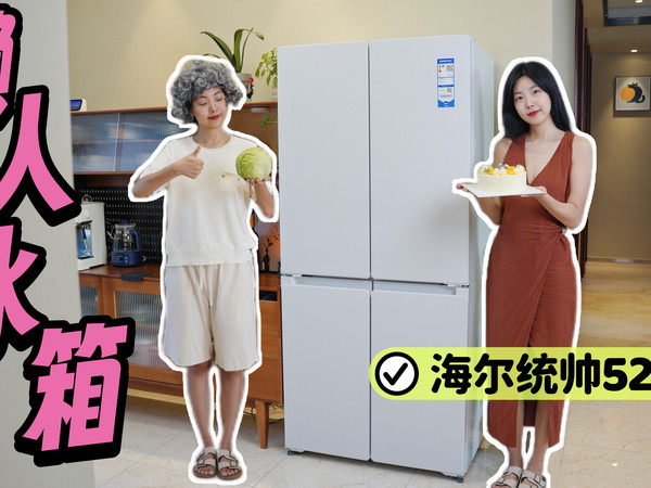 4000拿下双系统双循环冰箱！海尔统帅521治好了我的冰箱焦虑症！