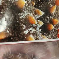 辽参大连有机冷冻海参1斤10-12只非即食京东自营旗舰