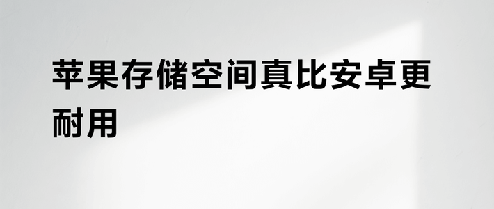 苹果存储空间真比安卓更耐用?256G≈512G引全网激辩