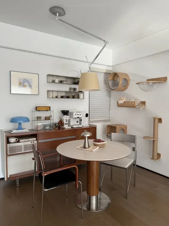 适猫化设计之“猫墙”｜不是宠物是家人