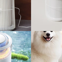 霍尼韦尔、小米、宫菱宠物净化器有用吗?怎样选?真实测评PK