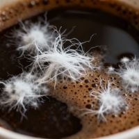 摩可纳咖啡现白色絮状物：是发霉还是结晶？用户观点彻底吵翻了