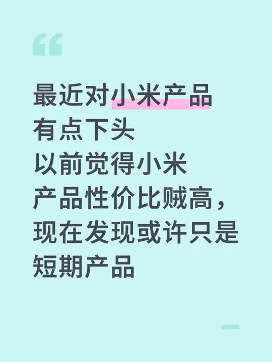 长期主义对小米祛魅只需要一两年