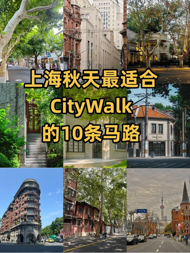 上海秋天最适合CityWalk的10条马路！