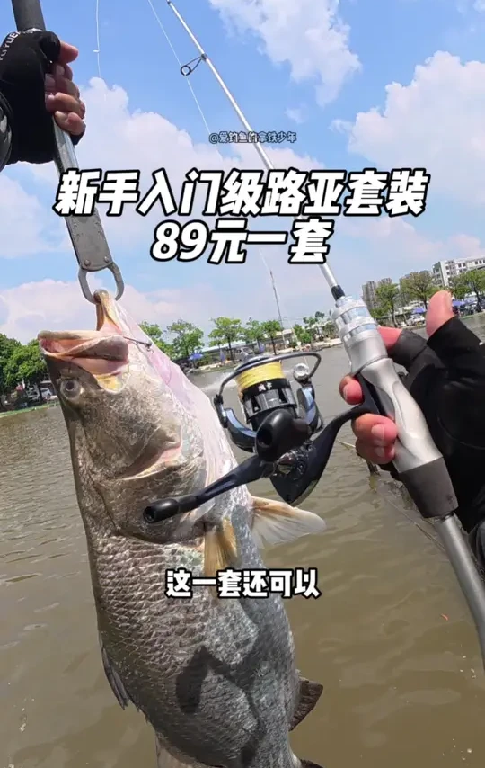 百元路亚套装挑战巨物 新手玩路亚装备不知道怎么选,这一套只要89,竿轮线饵一套给你配齐,还发顺丰快递,到手就可以直接玩#路亚 #路亚新手 #路亚装备搭配 #路亚钓鱼 #路亚新手入门教程