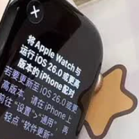 健身党双 11 狂喜:Watch S11 才是刚需,耳机相机全靠边!