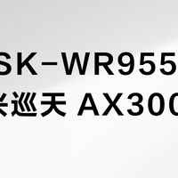 创维 SK-WR9551X vs 中兴巡天 AX3000？我们汇总了多位用户和大V的真实评测