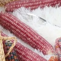 叮咚买菜的选品，“癫”出了一条情绪赛道