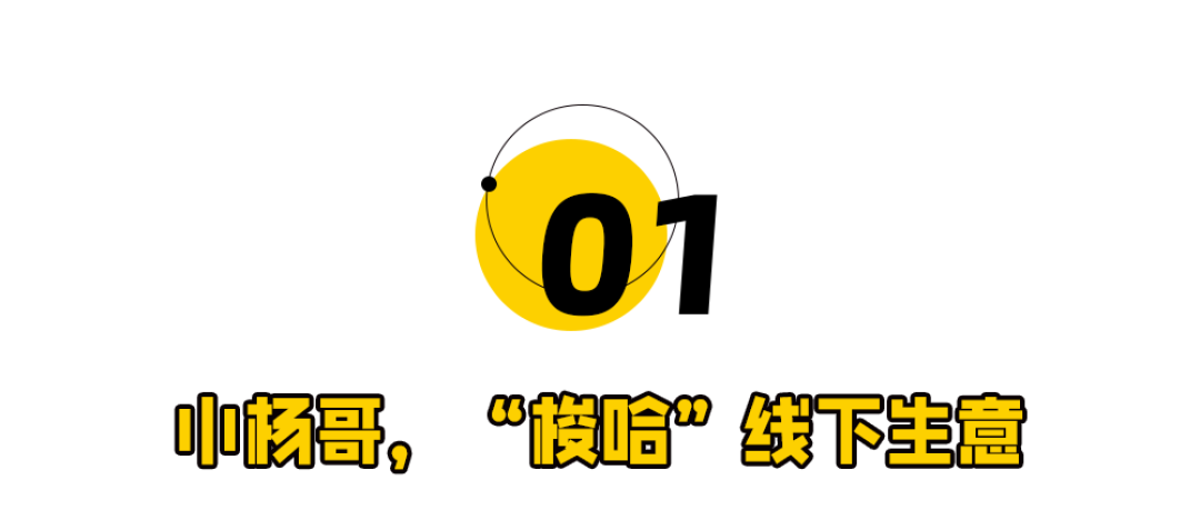 突发!小杨哥现身,三只羊开业