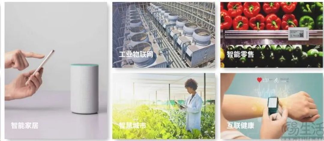 物联网芯片该怎么做?我们与行业领头羊聊了聊