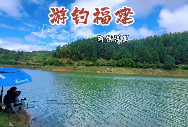 #户外钓鱼 #钓鱼人就是这么疯狂 #鱼栖林小羽毛 #钓鱼王地狱猫 #水库钓鱼