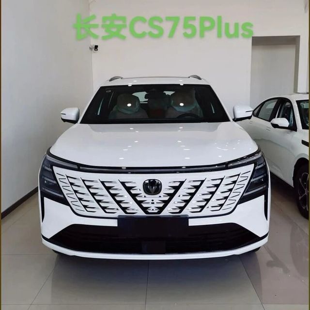 10～20万，这8款燃油SUV——闭眼入不后悔！