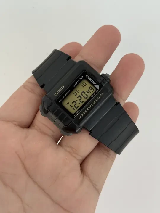 Casio/卡西欧 WN-10