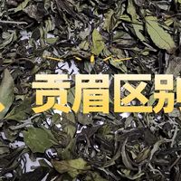 白茶中的贡眉与寿眉的区别有哪些？了解清楚再选购不迟