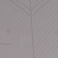 YOTTOY瑜伽垫：材质与设计亮点