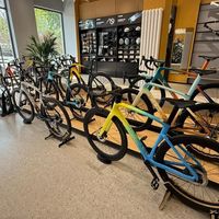 高端自行车价格崩盘是泡沫破裂还是价值回归？1000+用户观点大PK