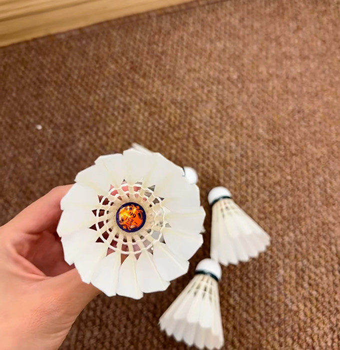 亚狮龙羽毛球