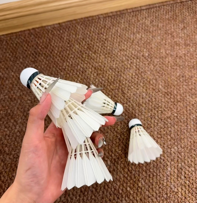亚狮龙羽毛球