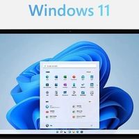 微软为Windows 11添加蓝屏后内存诊断功能：协助用户排查崩溃原因