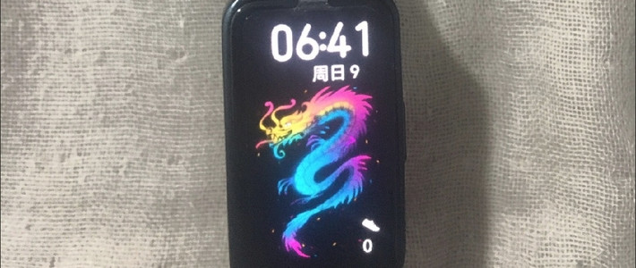 华为手环8标准版：百元级性价比之选