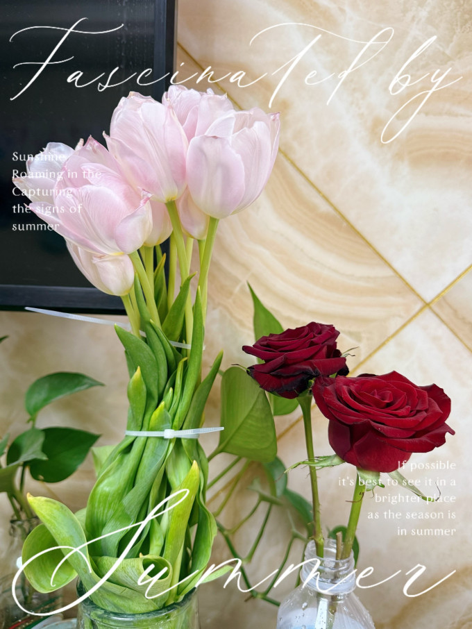 京东鲜花鲜花