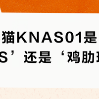 华为光猫KNAS01是‘真香NAS’还是‘鸡肋玩具’？全网用户观点大PK