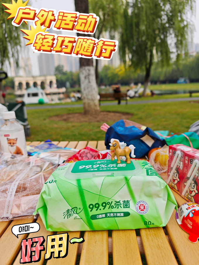 清风纸品湿巾