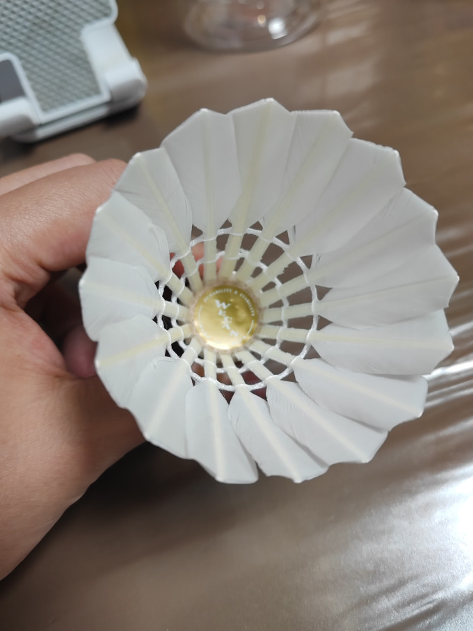 威肯羽毛球