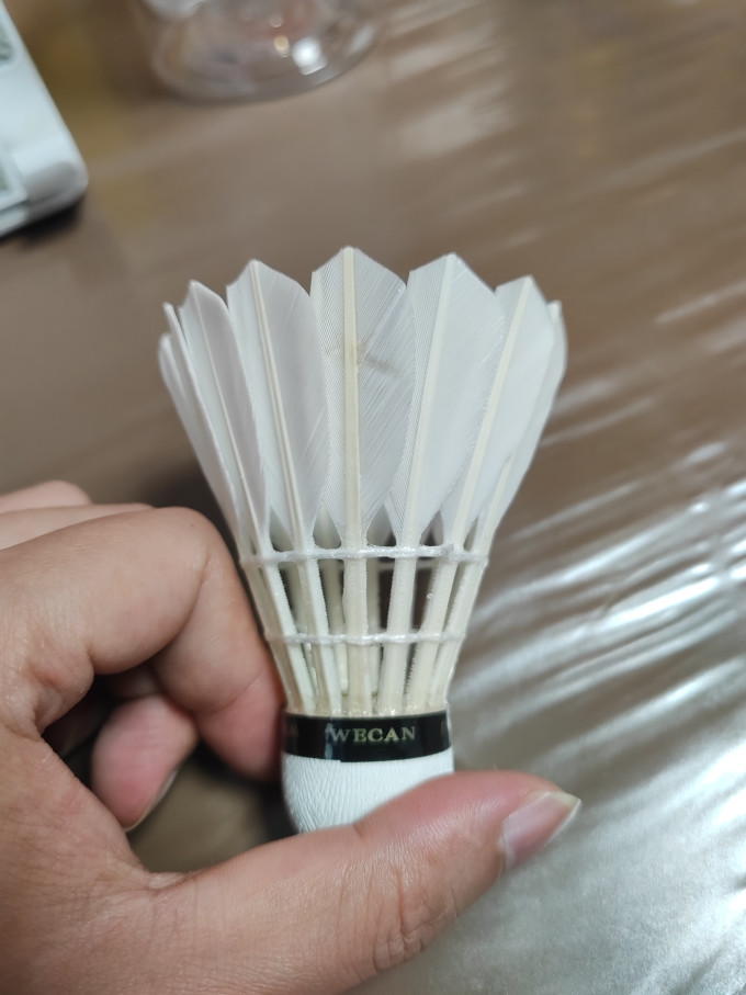 威肯羽毛球