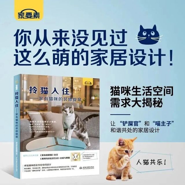 同屋不同频？《拎猫入住》解锁人猫互不打扰的装修密码