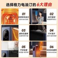 南方人过冬封神！格力17片石墨烯油汀让全屋暖到发烫🔥