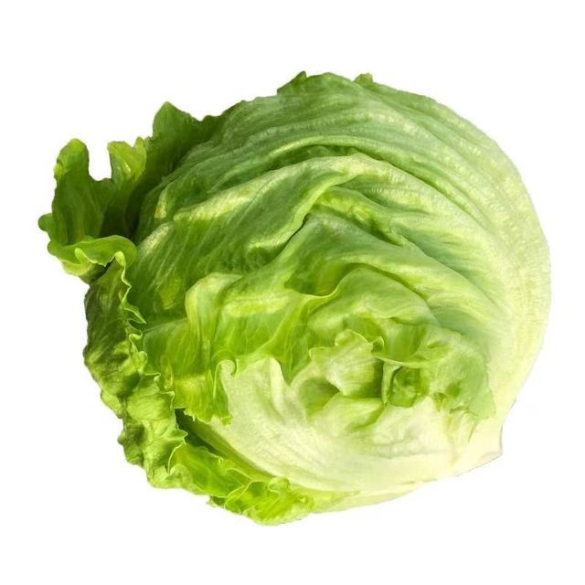 千牛优福球生菜封神！5斤装够吃半月，沙拉汉堡党直接锁死✅