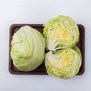 千牛优福旗舰店 5斤球生菜
